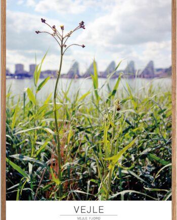 Plakat Vejle Fjord   Naturplakat   Recommended Products  Seguno    Plakat   Plakatsnedkeren