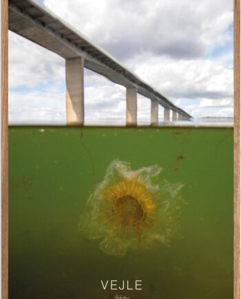 Plakat Vejle   Naturplakat   Recommended Products  Seguno    Plakat   Plakatsnedkeren