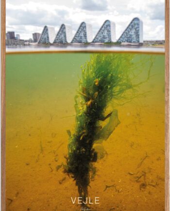 Plakat Vejle   Naturplakat   Recommended Products  Seguno    Plakat   Plakatsnedkeren
