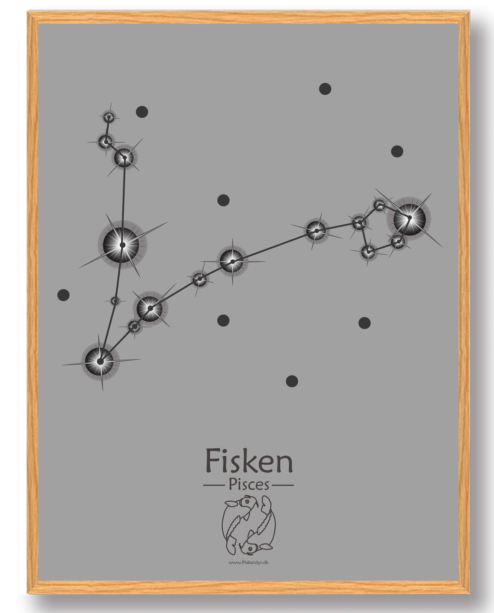 Stjernebillede Fisken  Grå  Plakat