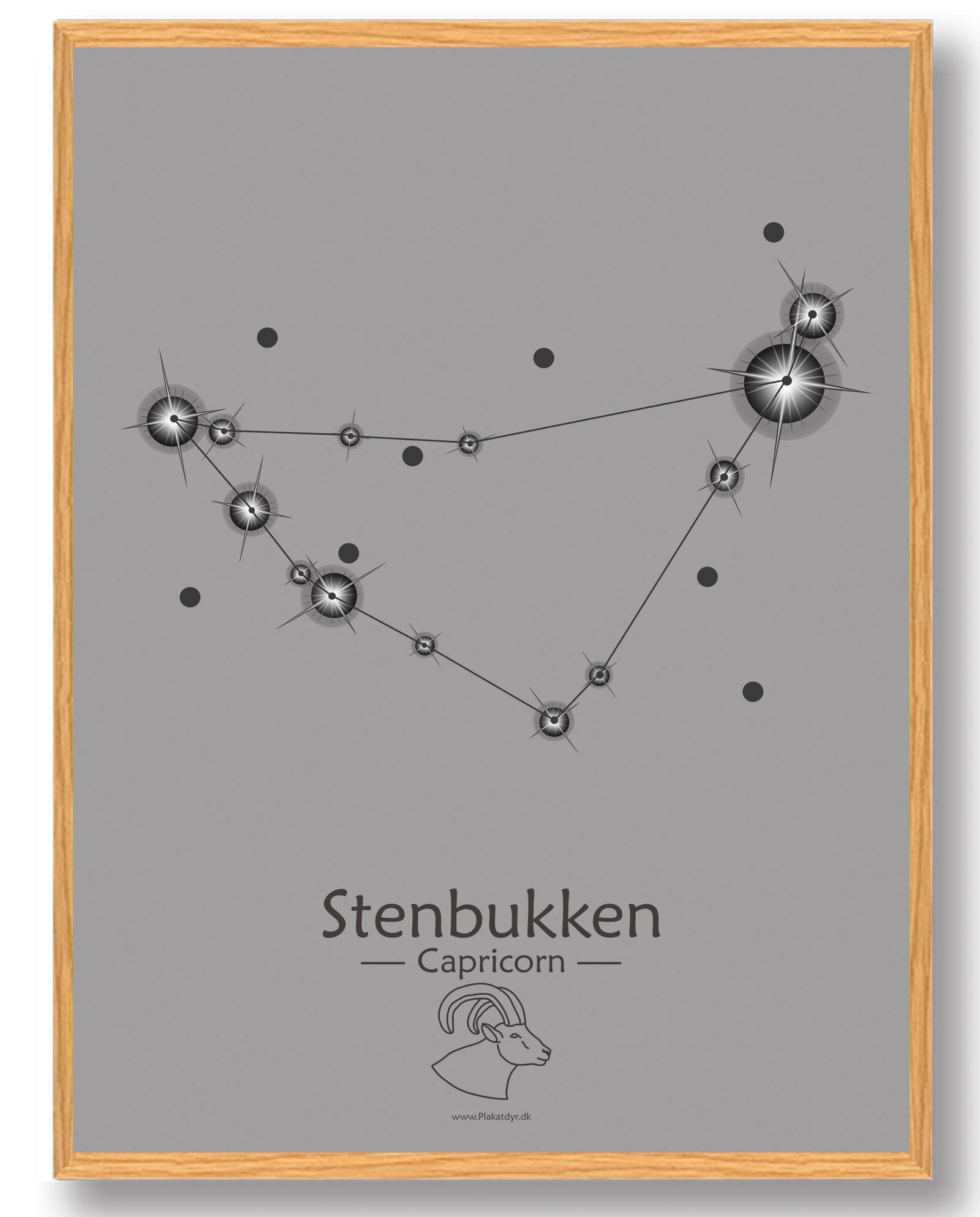 Stjernebillede Stenbukken  Grå  Plakat