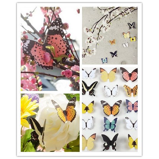 3d Sommerfugle Farvede Wallsticker