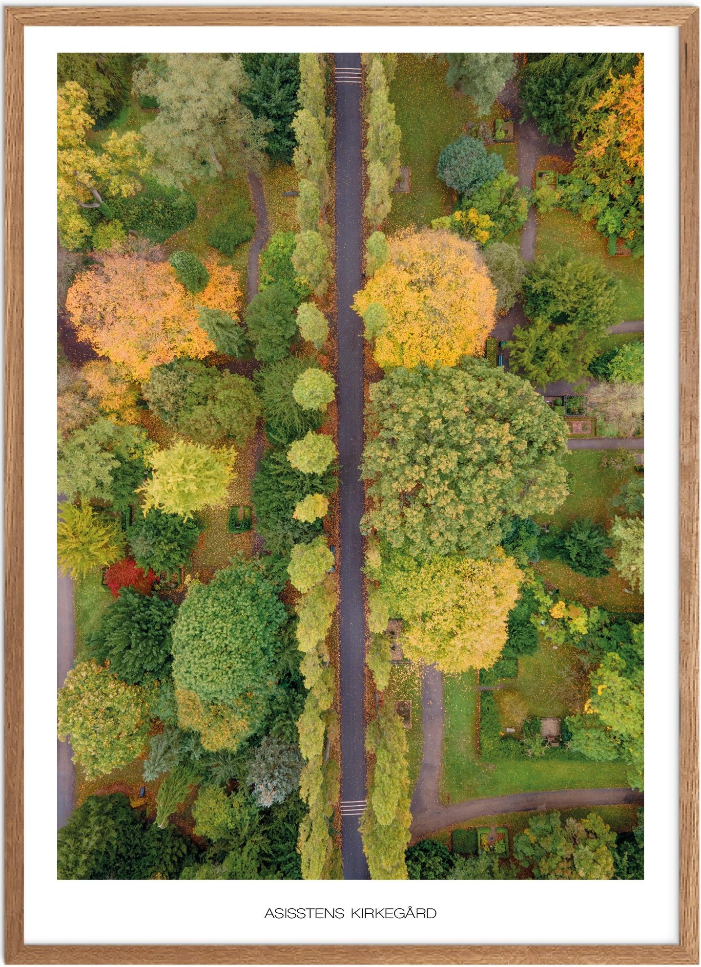 Plakat Assistens Kirkegård   Naturplakat   Plakater København   Plakat   Plakatsnedkeren   Drone-plakater
