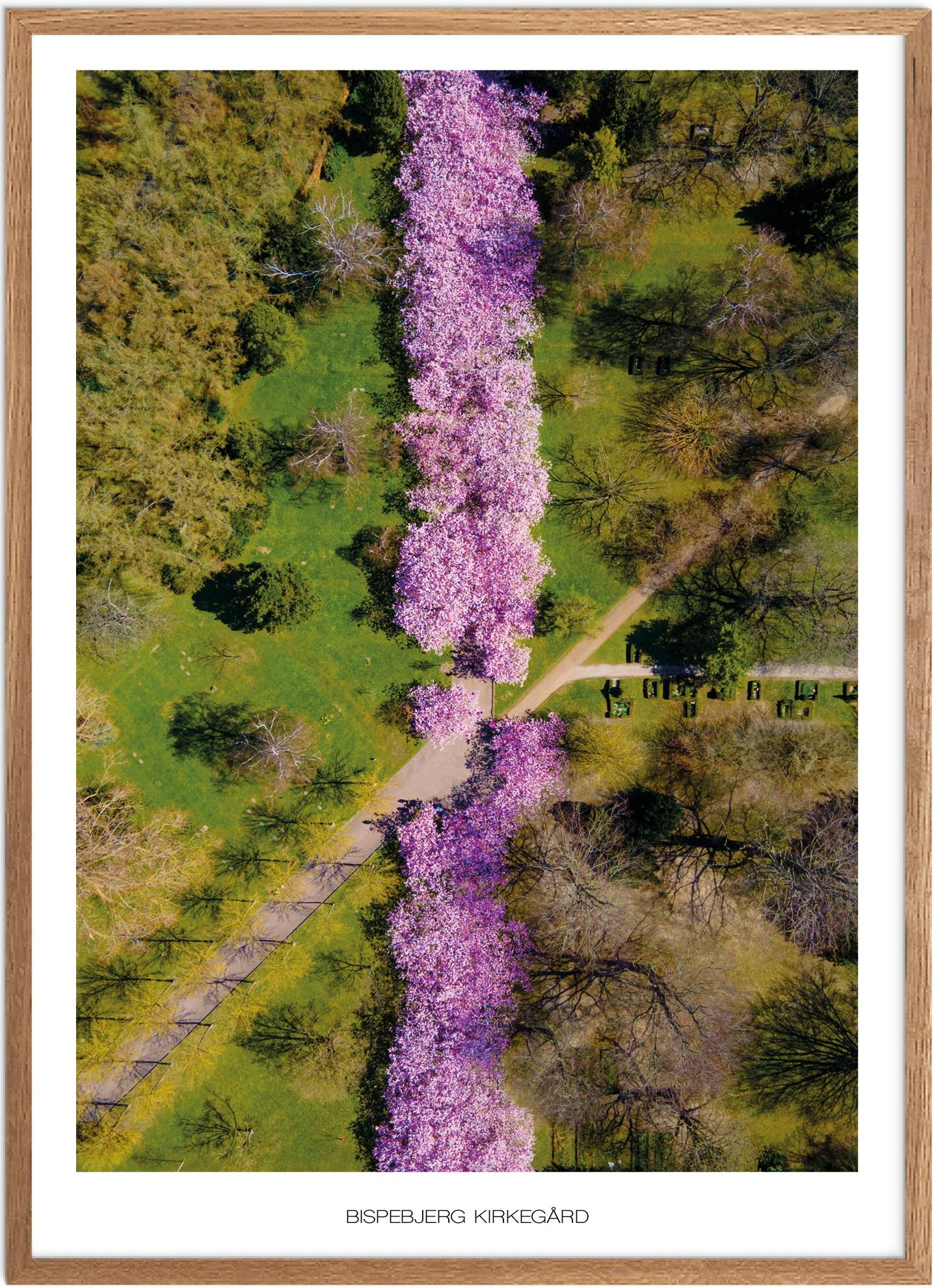 Plakat Bispebjerg Kirkegård   Naturplakat   Plakater København   Plakat   Plakatsnedkeren   Drone-plakater