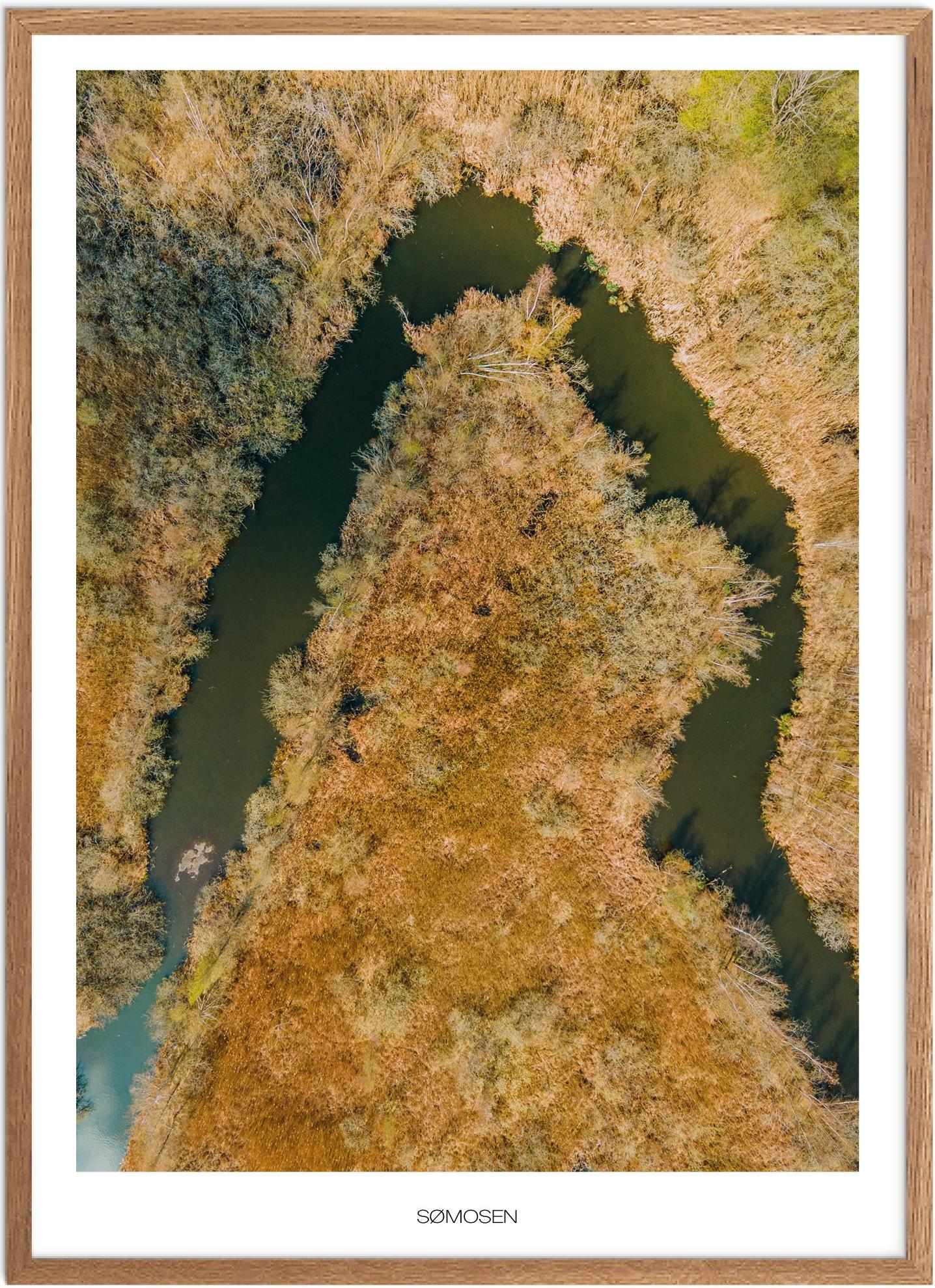 Plakat Sømosen   Naturplakat   Plakater København   Plakat   Plakatsnedkeren   Plakater østsjælland