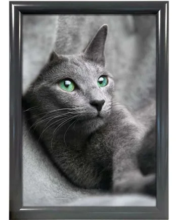 Alu Snap Frame 25mm     50x70 Cm Ral7012