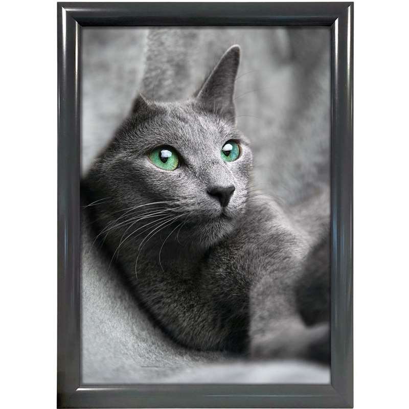 Alu Snap Frame 25mm 70x100cm Antracit