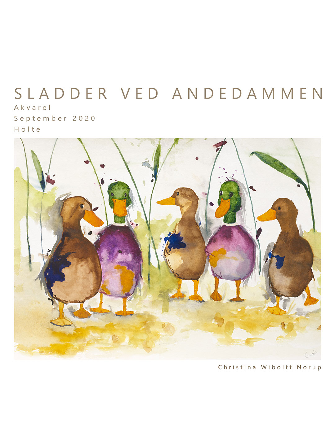 Sladder Ved Andedammen No    Af Et Lille Atelier