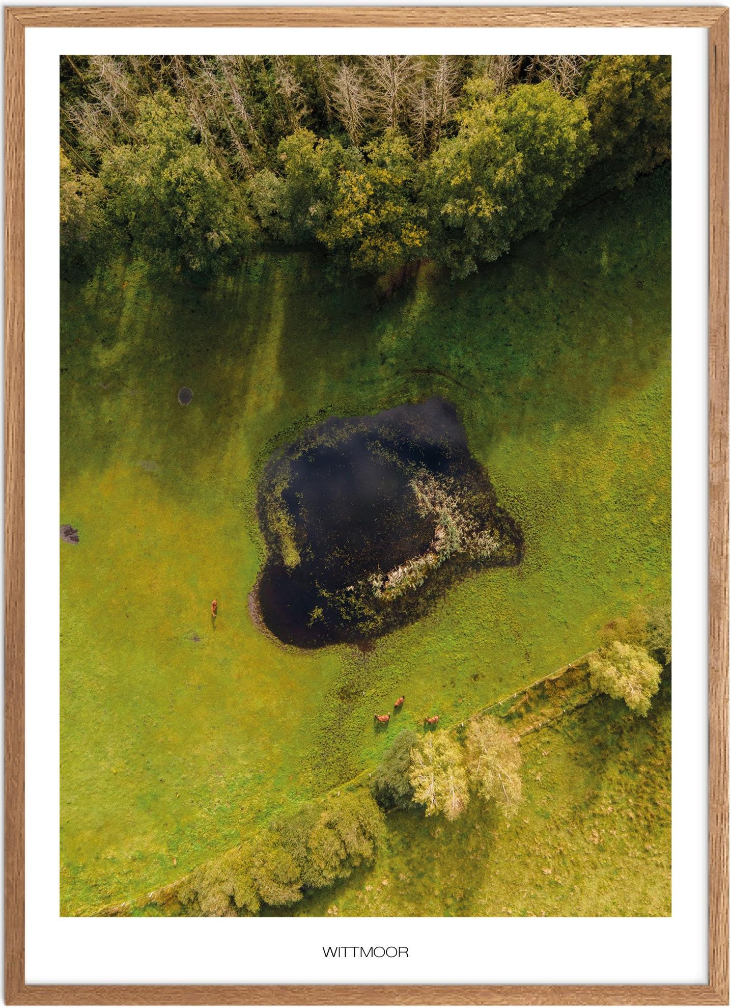 Wittmoor No    Poster 21x30   Ingen Ramme   Plakat   Recommended Products  Seguno