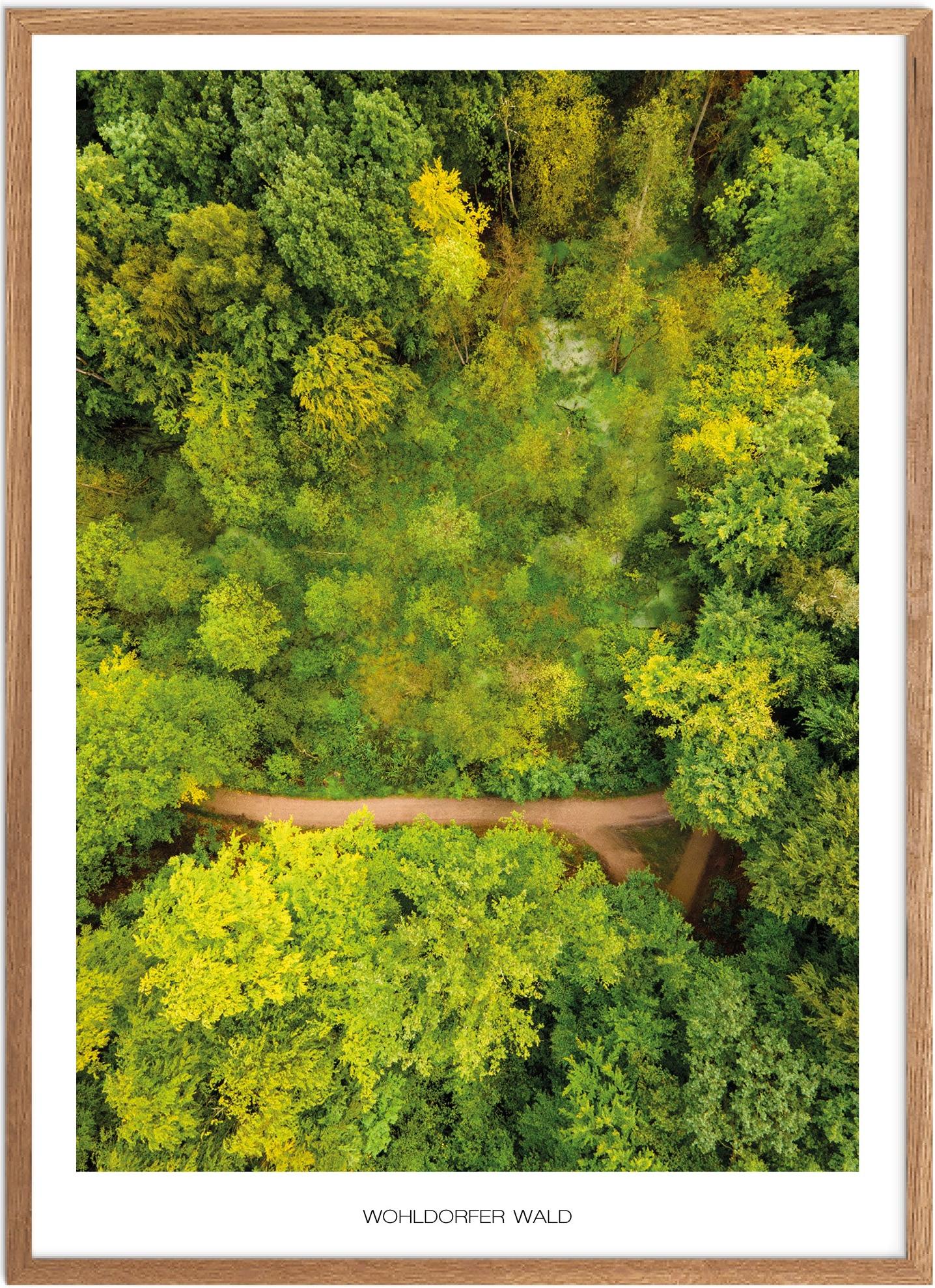 Wohldorfer Wald No    Poster 21x30   Ingen Ramme   Plakat   Recommended Products  Seguno