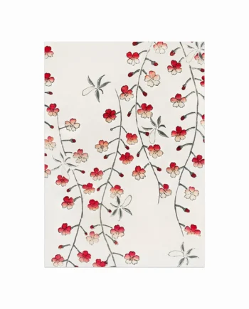 Cherry Blossom