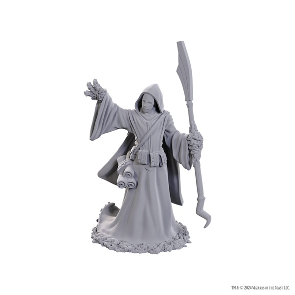 Dungeons   Dragons Nolzur   Marvelous Miniatures: Star Spawn Larva Mage  Wzk90754
