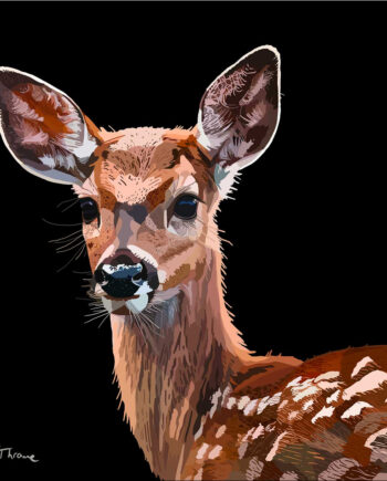 Deer Af Birgit Thrane