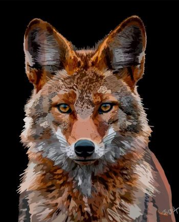 Fox Af Birgit Thrane