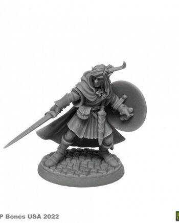 Reaper Bones Usa Dungeon Dwellers: Mellonir Windrunner  Elf Warrior Plastic Miniature