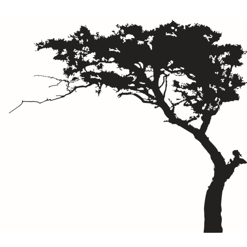 Træ Wallsticker Med Et Stort Flot Træ Bonsai Stil 180x220cm