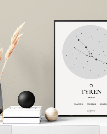 Tyren Stjernetegn Plakat Hvid 70 100 Cm  B1