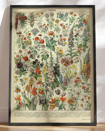 Adolphe Millot Fleurs Retroplakat Med Blomster