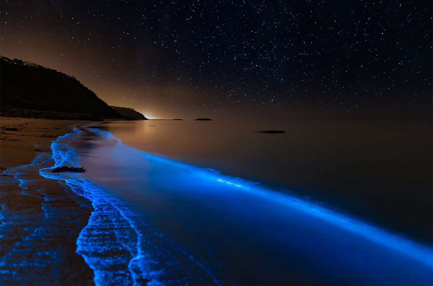 Bioluminescence At The Danish Coastline Af Daniel Faisst