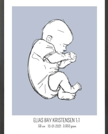Birth Poster   Fødselsplakat  :  Fosterstilling Blå