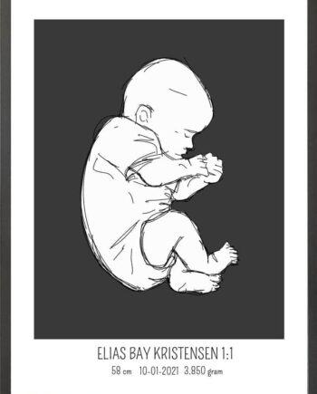 Birth Poster   Fødselsplakat  :  Fosterstilling Blå