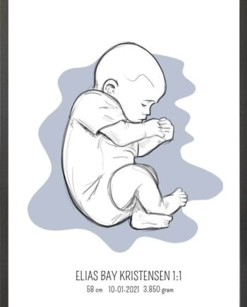 Birth Poster   Fødselsplakat  :  Fosterstilling Blå