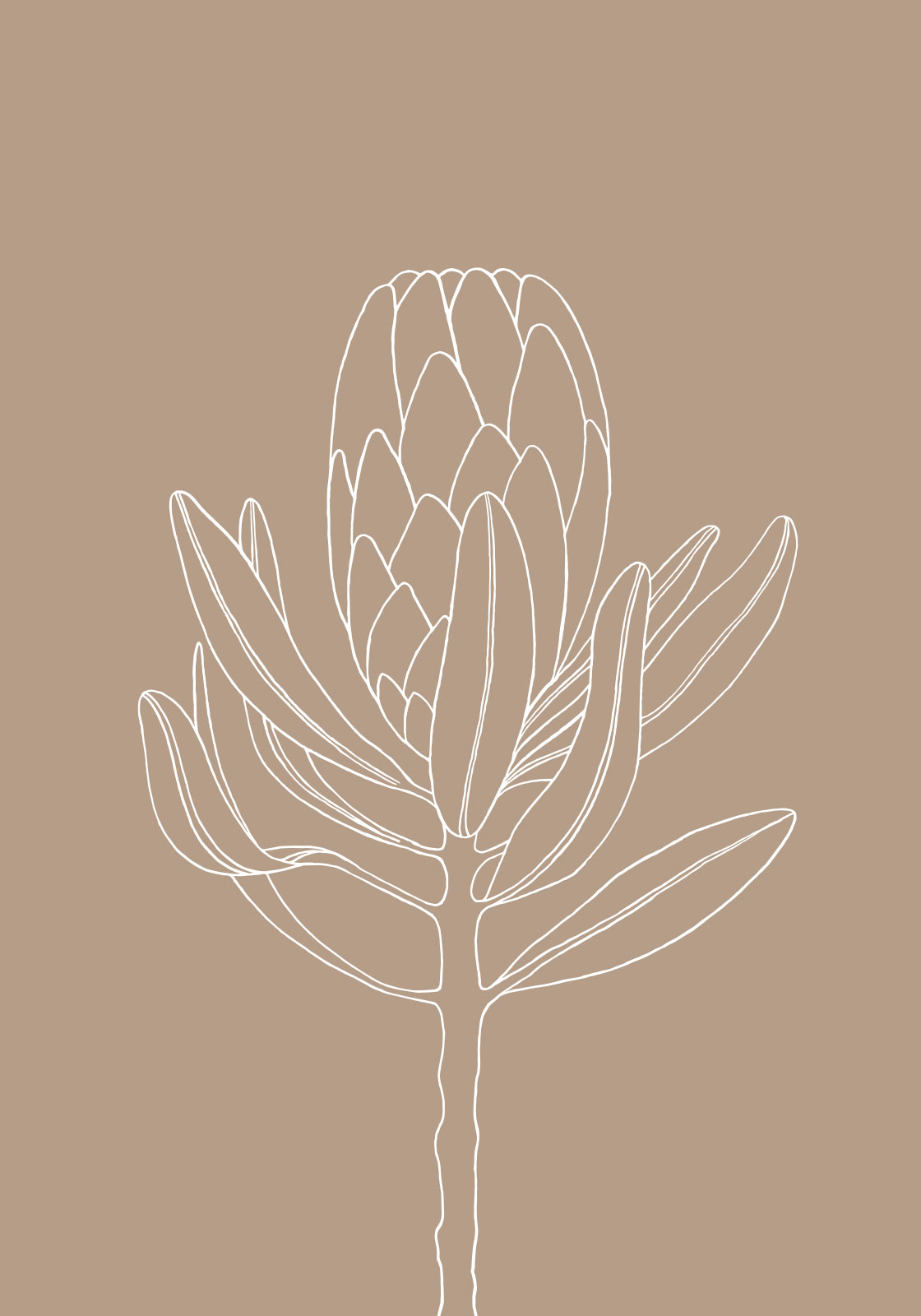 Blomst Sand Af Ten Valleys
