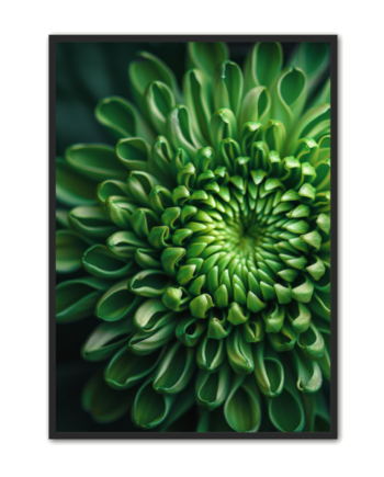Blomster Plakat 161