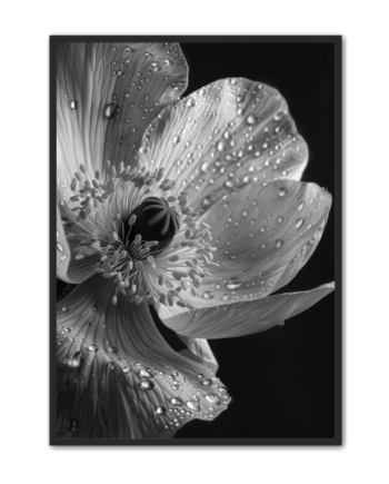 Blomster Plakat 11 Naturplakater
