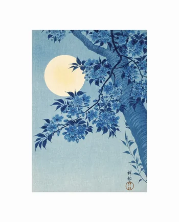 Blossoming Cherry On   Moonlit Night