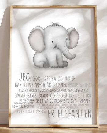 Børneplakat Med Elefant Lær Om Elefanten