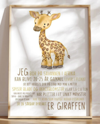 Børneplakat Med Giraf Lær Om Giraffen