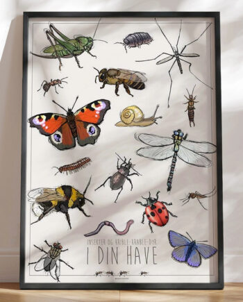 Børneplakat Med Insekter Og Smådyr   Haven