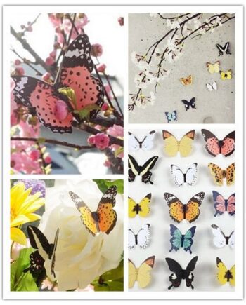 3d Sommerfugle Farvede Wallsticker