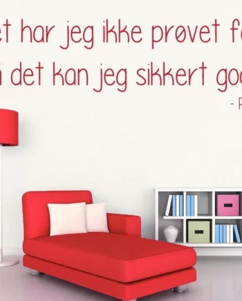 Det Har Jeg Ikke Prøvet Før Wallsticker