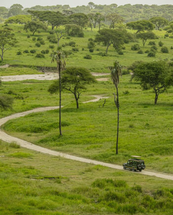Driving Into The Wild Af Rasmus Gundorff Sæderup