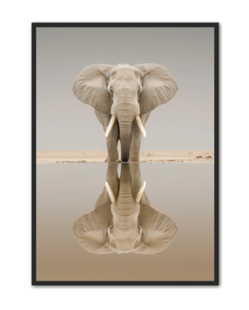 Elefant Plakat