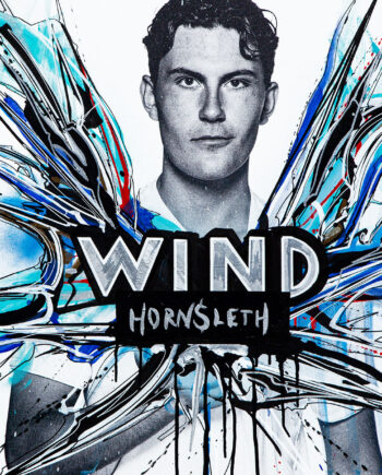 Fck Wind Af Hornsleth