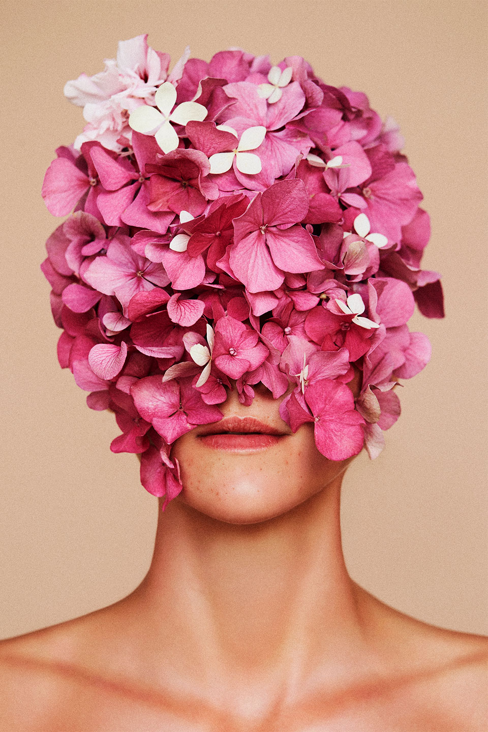 Flowerhead Beige Af Camilla Schmidt