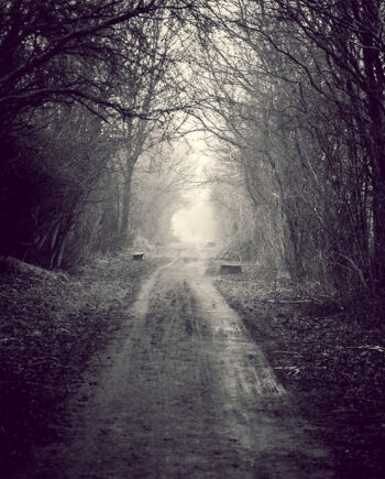 Foggy Path Af Henrik Hansen