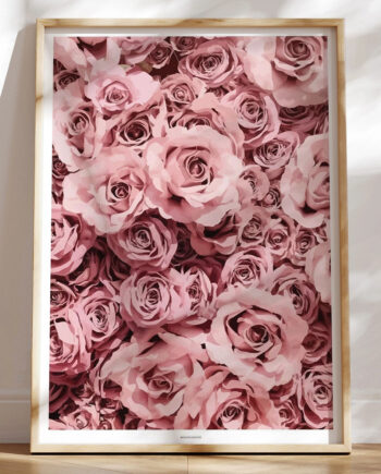 Grafisk Plakat Pink Roses