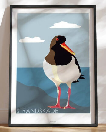 Grafisk Plakat Strandskade