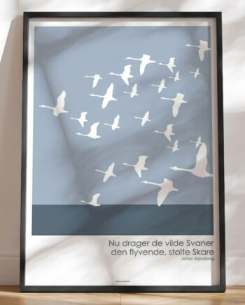 Grafisk Plakat Svaneflokken