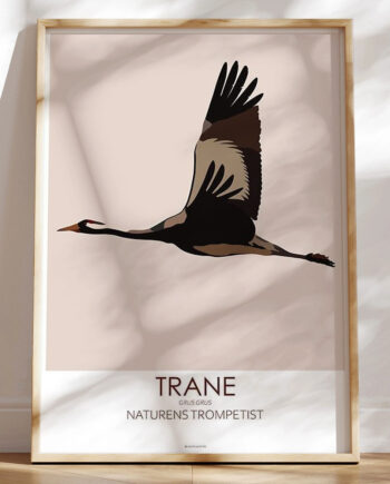 Grafisk Plakat Trane