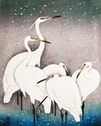 Group Of Egrets Af Plakatwerket