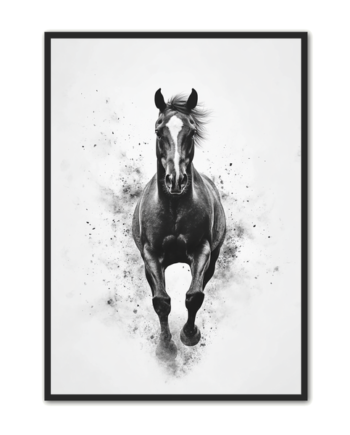 Hest Plakat 52 Sort Hest   Fuld Galop