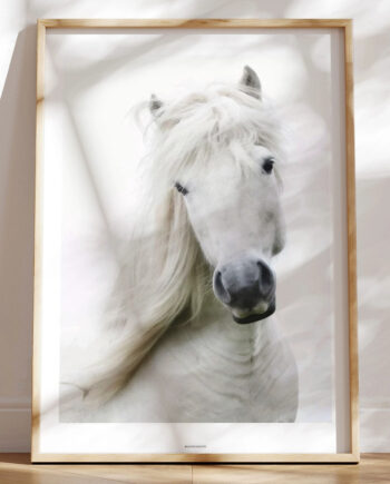 Hesteplakat Hvid Hest