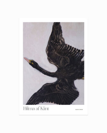 Hilma Af Klint  Black Swan