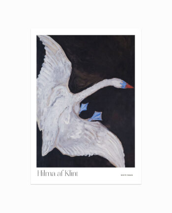 Hilma Af Klint  White Swan