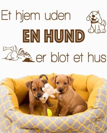 Hjem Med Hund Wallsticker